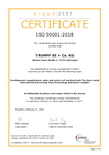 Certification according to DIN EN ISO 50001