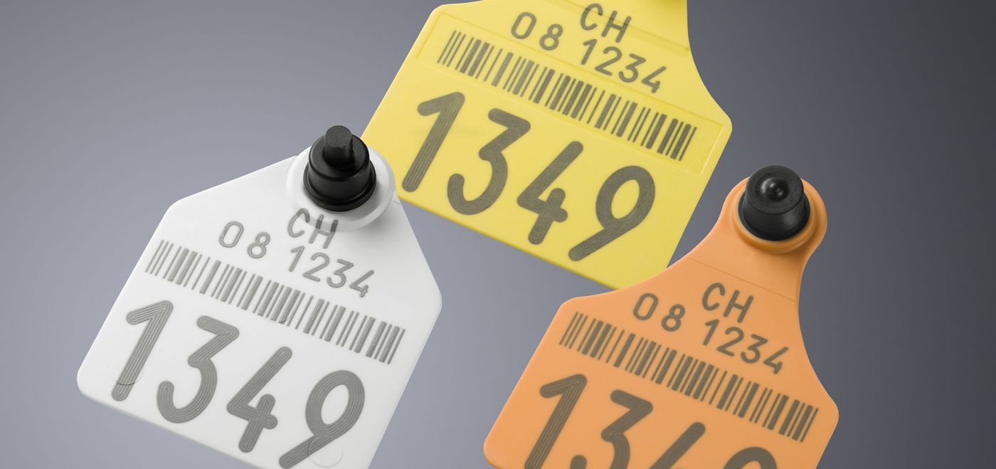 借助 TruMark 5000 系列使合成材料变色