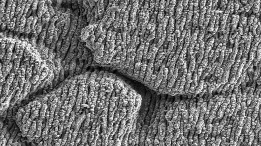Close-up of the surface structure of blackmarking