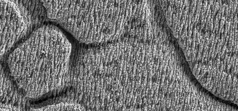 Close-up of the surface structure of blackmarking