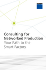 Consulting for networked production flyer