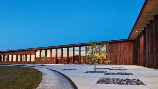 芝加哥智能工厂前的树